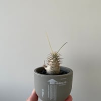 新作】ハイパーポットクリエイター 