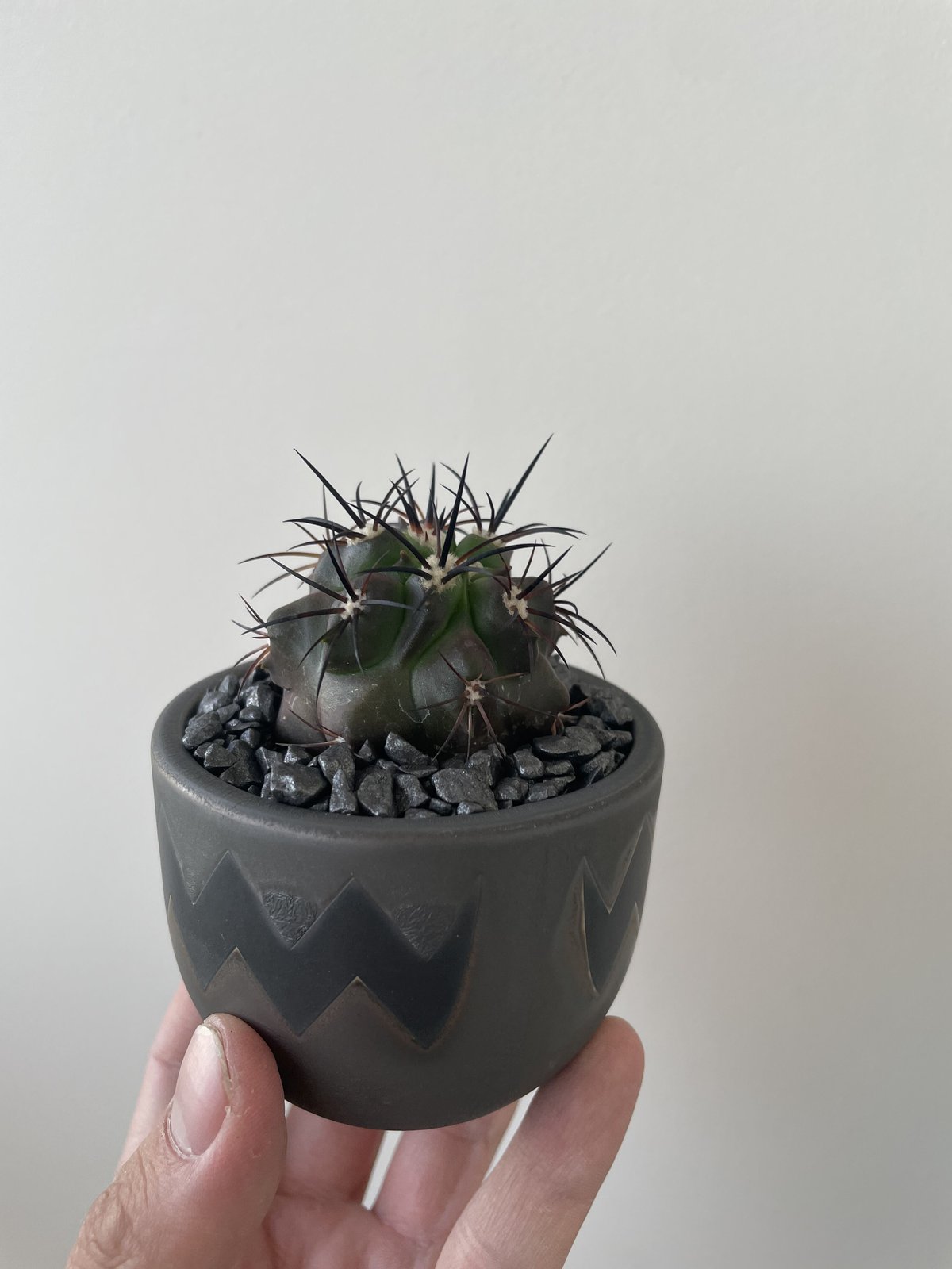 鉢・プランター valiem M bitter valiem bitter M 【公式通販】