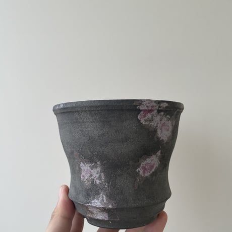 aobouzu daily pot September limited edition 2【Msize】塊根植物やアガベと日々に寄り添える鉢。