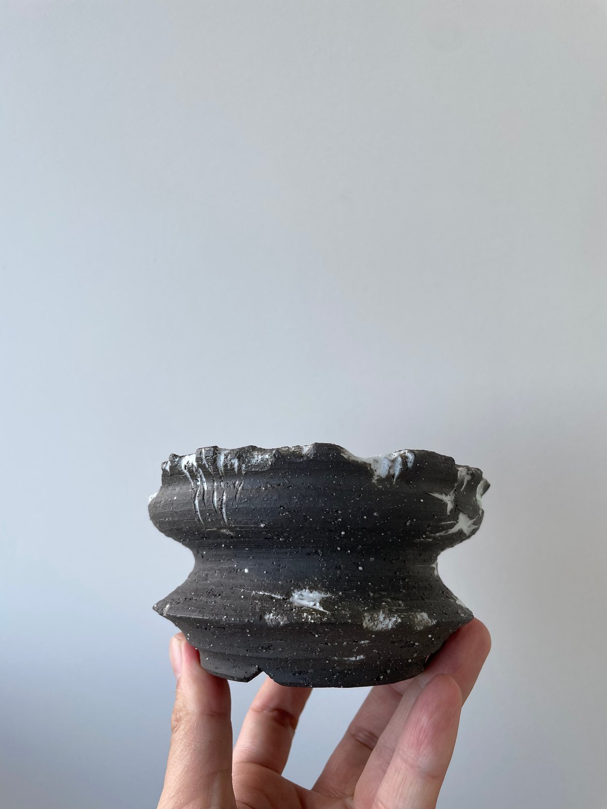 aobouzu daily pot spring SAKURA 鉢　青坊主 aobouzu daily pot spring SAKURA 鉢 青坊主 aobouzu daily pot