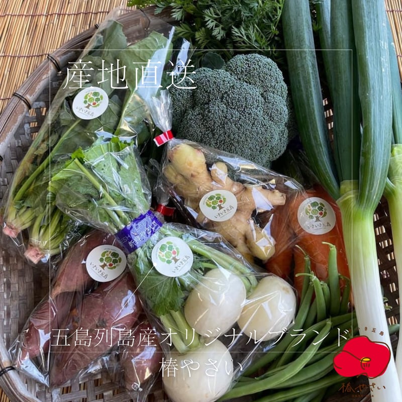 五島列島産オリジナルブランド・椿やさいを含む季節を楽しむお野菜