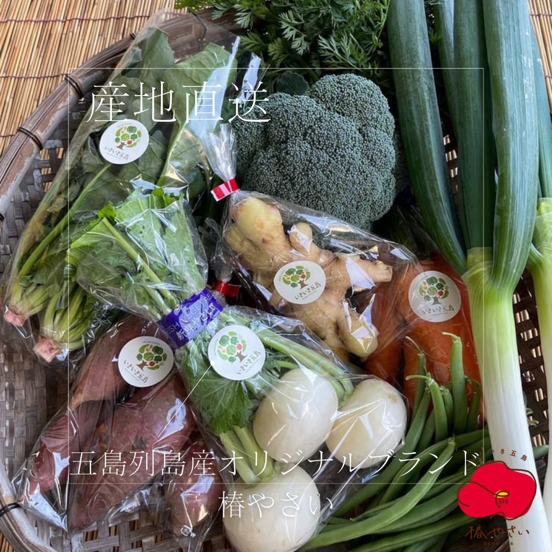 五島列島産オリジナルブランド・椿やさいを含む季節を楽しむお野菜