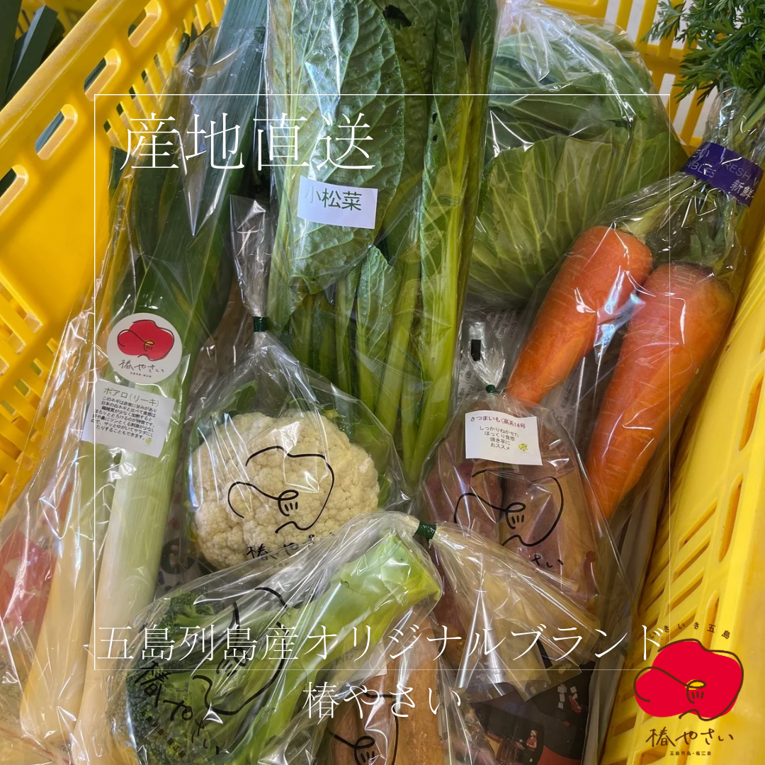 五島列島産オリジナルブランド・椿やさいを含む季節を楽しむお野菜
