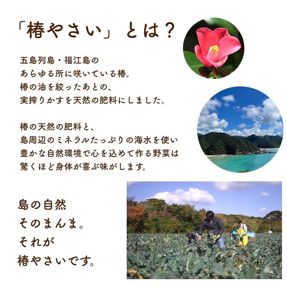 630ed1ffef80855e1f00f441