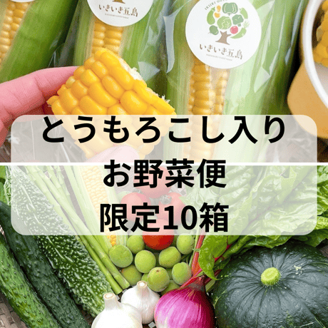 【ゲリラ販売】限定10箱　とうもろこし入り5本&初夏のお野菜便