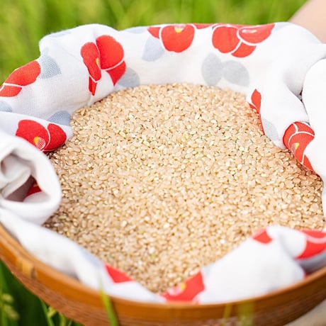 【早期割引！初採れ玄米】玄米でお届け！はるみちゃんのお米（農薬不使用）