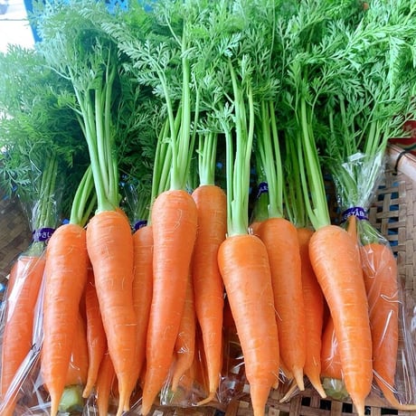 飲食店さまにおススメ　いきいき五島のお野菜便L