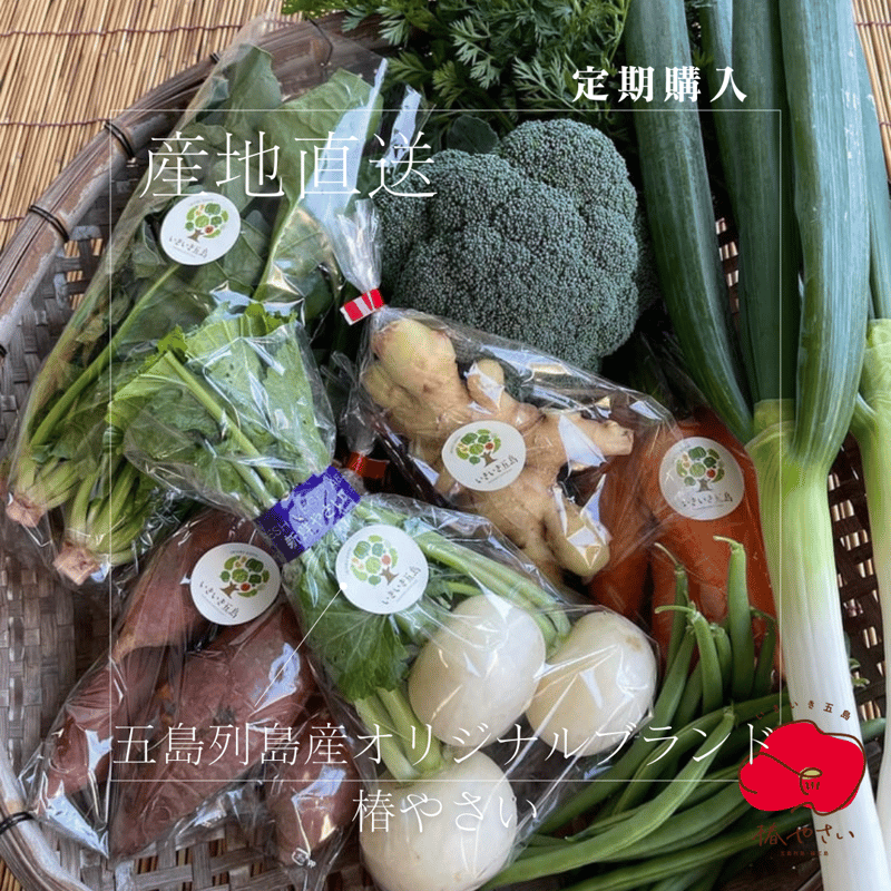 りっと⭐️季節のお野菜セット 毎月1回定期購入】オリジナルブランド・椿やさいの季節を楽しむお野菜