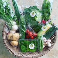 飲食店さまにおススメ　いきいき五島のお野菜便L