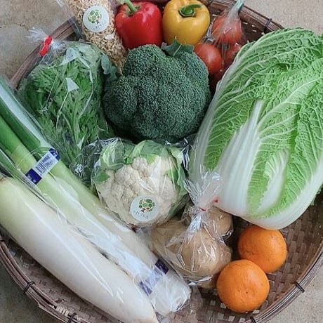 飲食店さまにおススメ　いきいき五島のお野菜便L