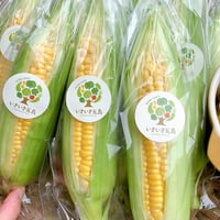 【大人気予約商品】とうもろこし箱