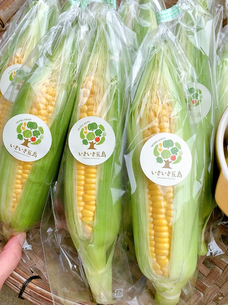 大人気予約商品】とうもろこし箱 | いきいき五島 大人気予約商品】とうもろこし箱 | いきいき五島