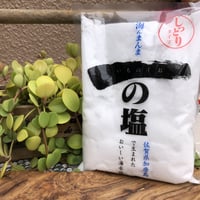 一の塩