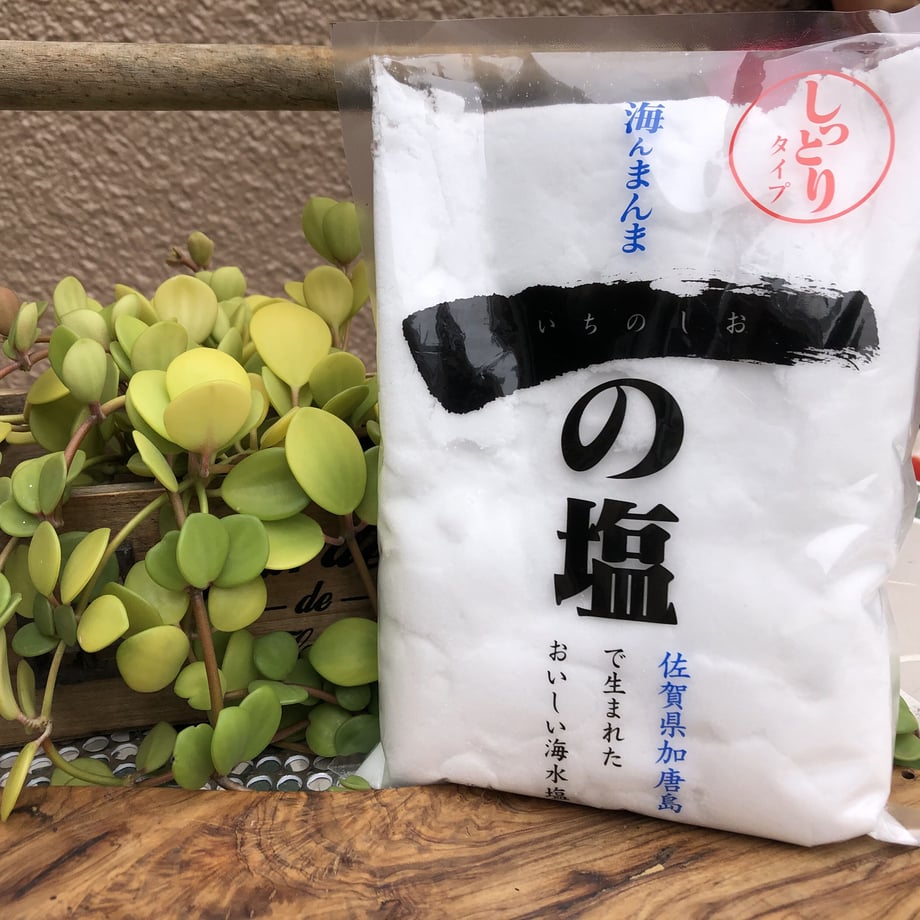 5f7937e7fbe5b575c6333b02