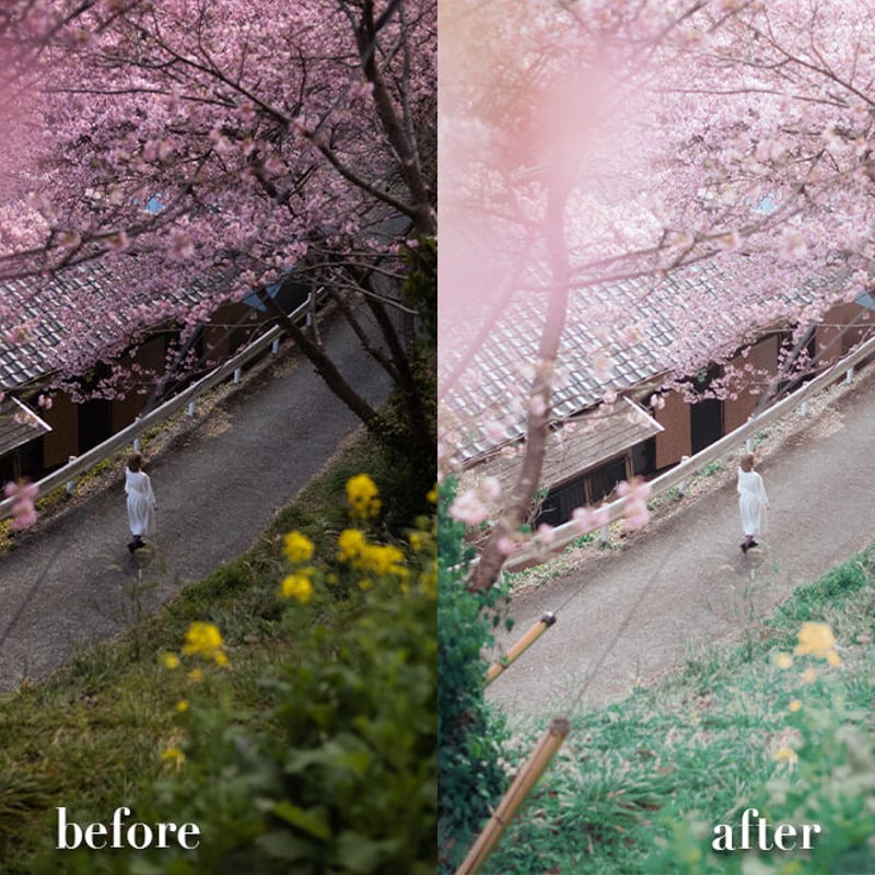 日本の春・厳選風景16年【 風景写真 3-4月号　2007〜2022年】16冊 景いろいろ 57点セット POEZYAJX 日本の春・厳選風景16年【 風景