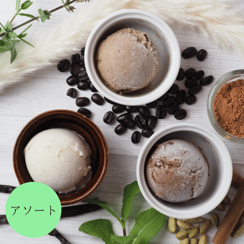 RBR Rich Vegan Ice アソート（有機JAS） | RainbowBirdRen