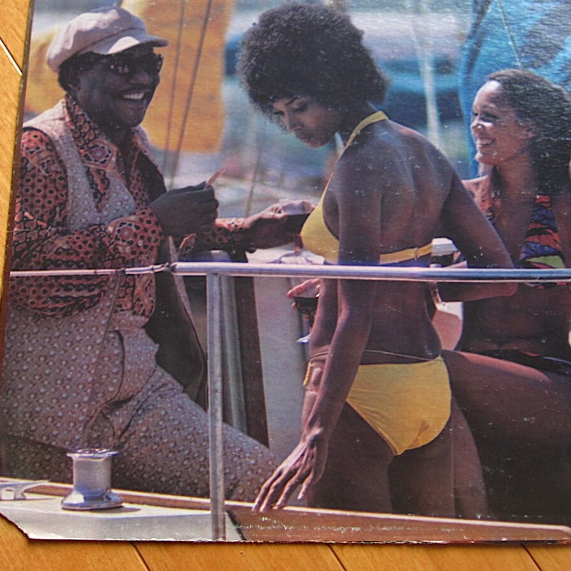 Bobby Bland○Dreamer ABC/DUNHILL RECORDS DSX-501