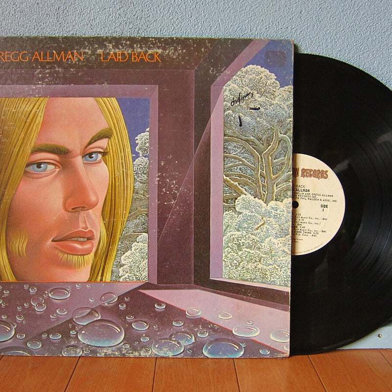 d*g様 レコード LP/12