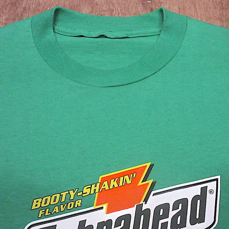 Zebrahead バンドTシャツ グリーン レア ヴィンテージ ビンテージ2000's○Zebrahead Ear QuencherプリントTシャツ緑○260