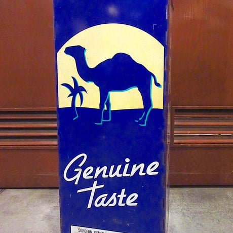 camel | STORES