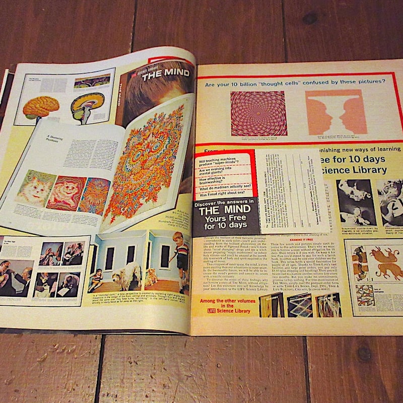 Peter Max LIFE ピーターマックス　ヴィンテージ　Vintage ビンテージ60's○Peter Max LIFEマガジン○260126z6-otclctピータ