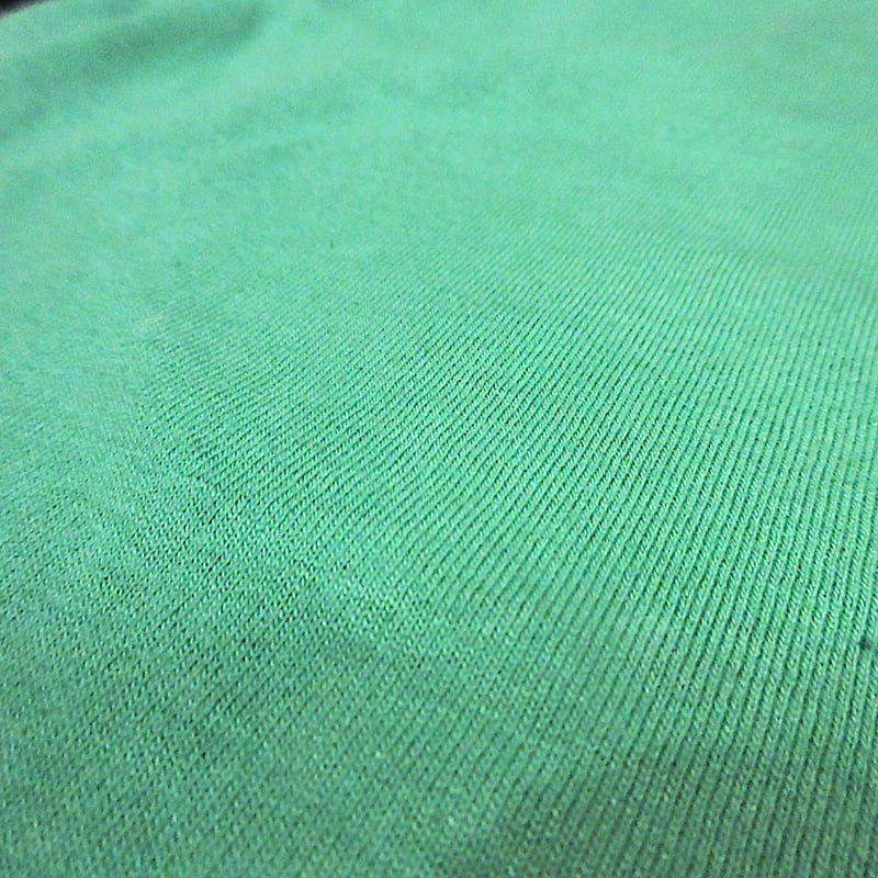 ビンテージ2000's○Zebrahead Ear QuencherプリントTシャツ緑○260