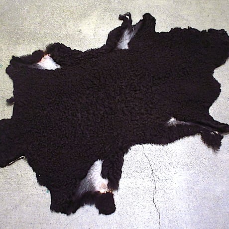 CATEGORY ラグ | cozy vintage