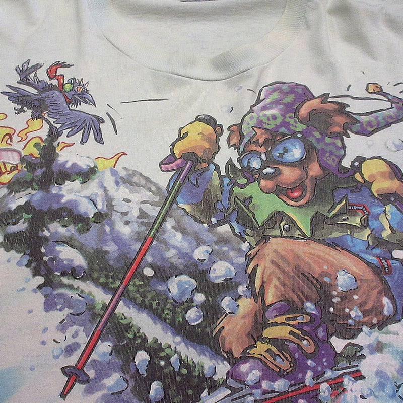 90s GRATEFUL DEAD Tシャツ 1995年ツアー L size Vintage 1995