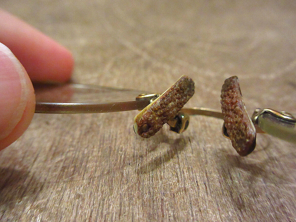 ビンテージ~40's○ケース付きCブリッジ型フィンチ眼鏡○230515i6-eygls