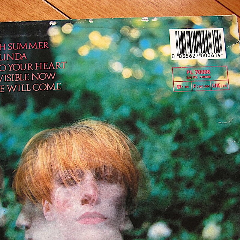 EURYTHMICS○IN THE GARDEN RCA PL 70006○211011t3-