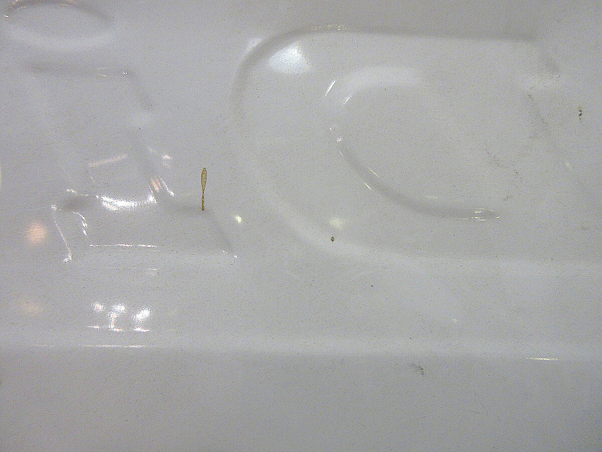 ビンテージ○Dickiesメタルサイン○210317s9-sign ディッキーズ店舗用