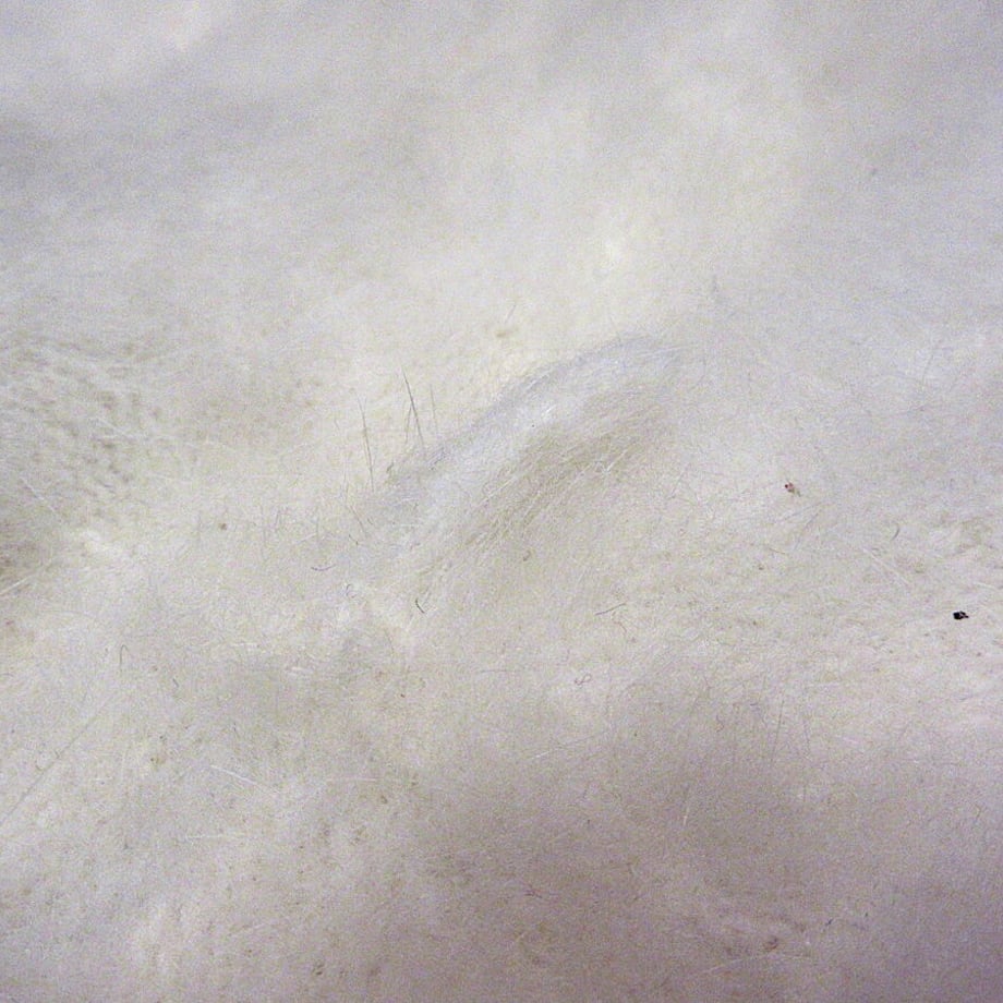 63f33d4334e01707ac046fc3