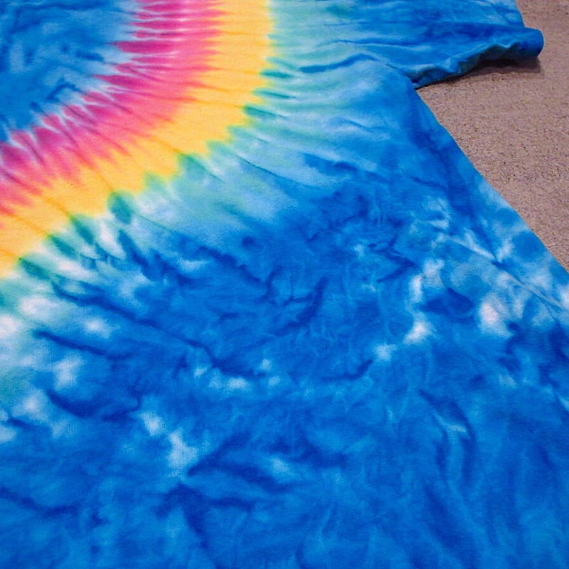 today is the day Tシャツ ビンテージＬサイズ 短丈 today is the day Tシャツ ビンテージLサイズ 短丈 キッズ BLUE