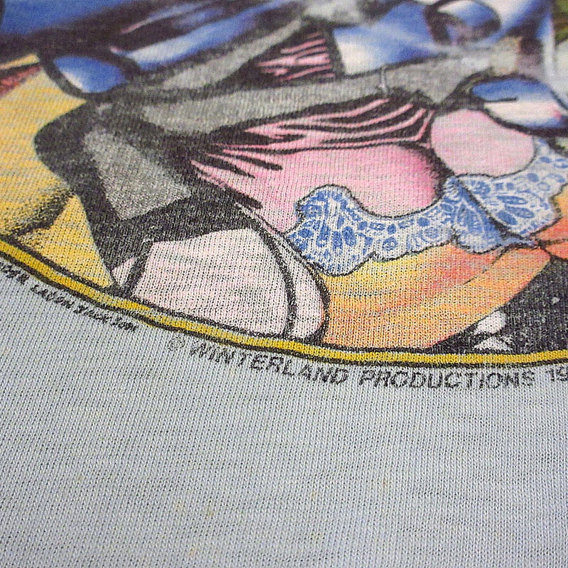 ビンテージ70's○LYNYRD SKYNYRDプリントTシャツ水色○230622i1-m-t