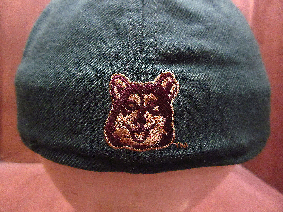 【希少】WU-TANG　6パネルキャップ　90sビンテージ　USA製　7-1/2 Vintage wu tang hat - Gem