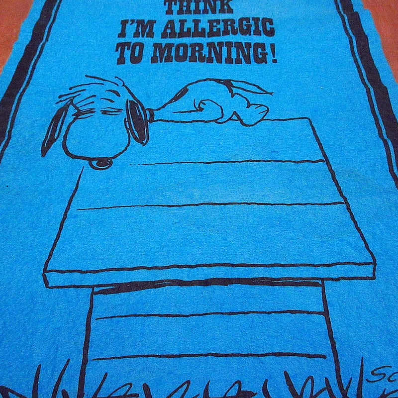 スヌーピー タペストリー ビンテージ 70s ビンテージ60's70's○スヌーピータペストリーsize 85cm×37.5cm