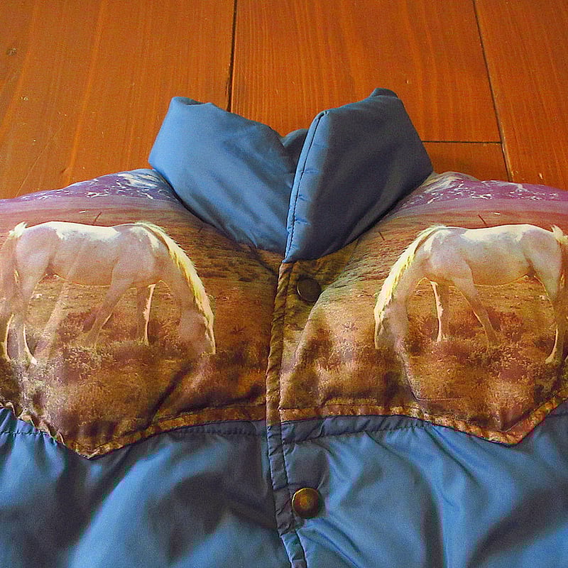 ビンテージ70's○フォトプリント切り返しダウンベスト青size M