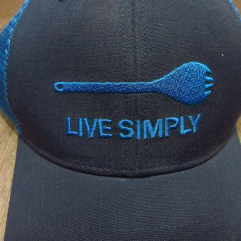 ビンテージ○Patagonia LIVE SIMPLYスナップバックキャップ水色