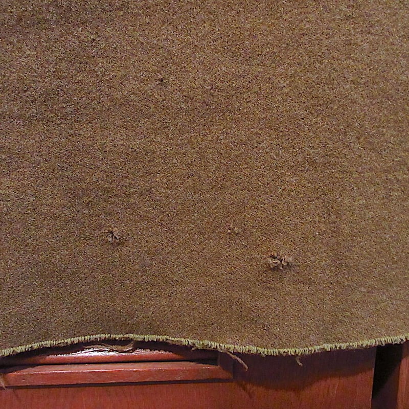 貴重U.S.ARMY 40s ウールブランケット　ヴィンテージ 40s 米軍 実物 U.S.ARMY 実物 ウール ブランケット ヴィンテージ 40s