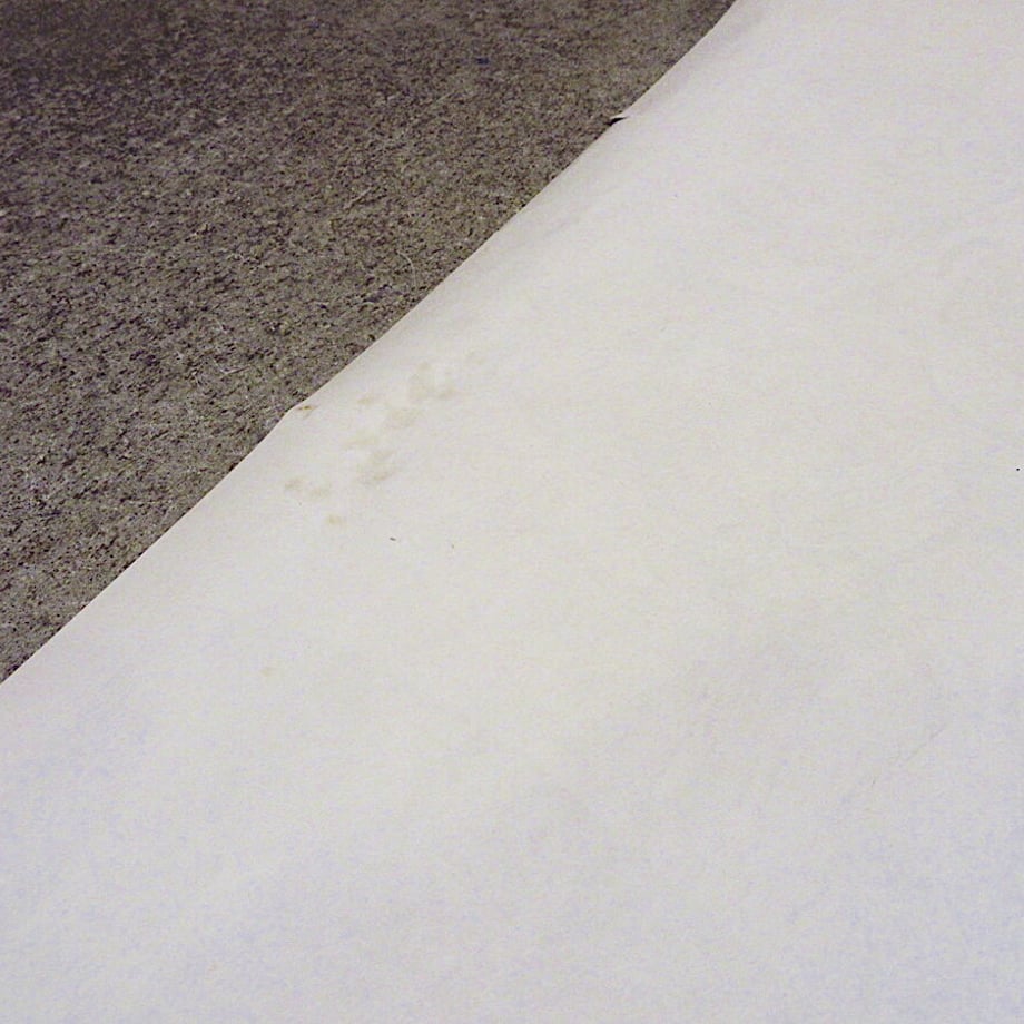 612063e984ca6338466218f0