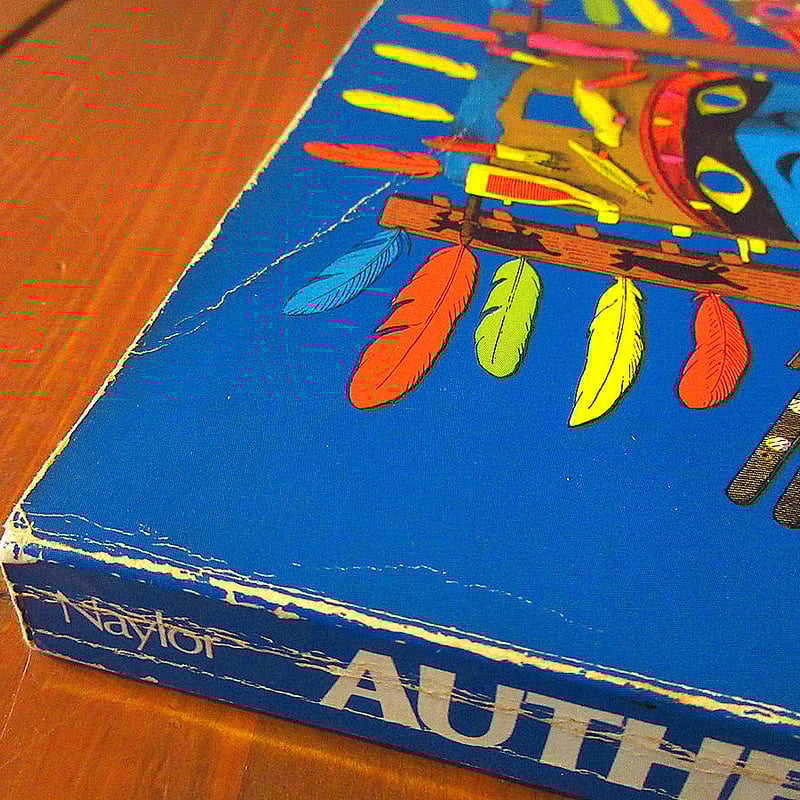 アート・デザイン・音楽 AUTHENTIC INDIAN DESIGNS AUTHENTIC INDIAN DESIGNSアート本○231120k3-otclctインデ