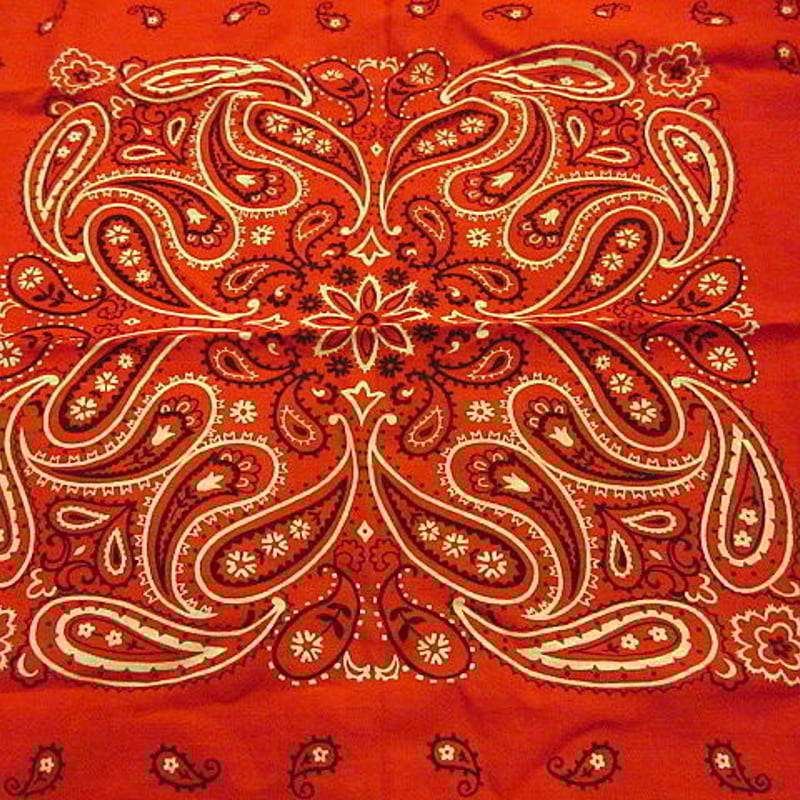 ビンテージ70's○FAST COLOR RN13962コットンペイズリー柄