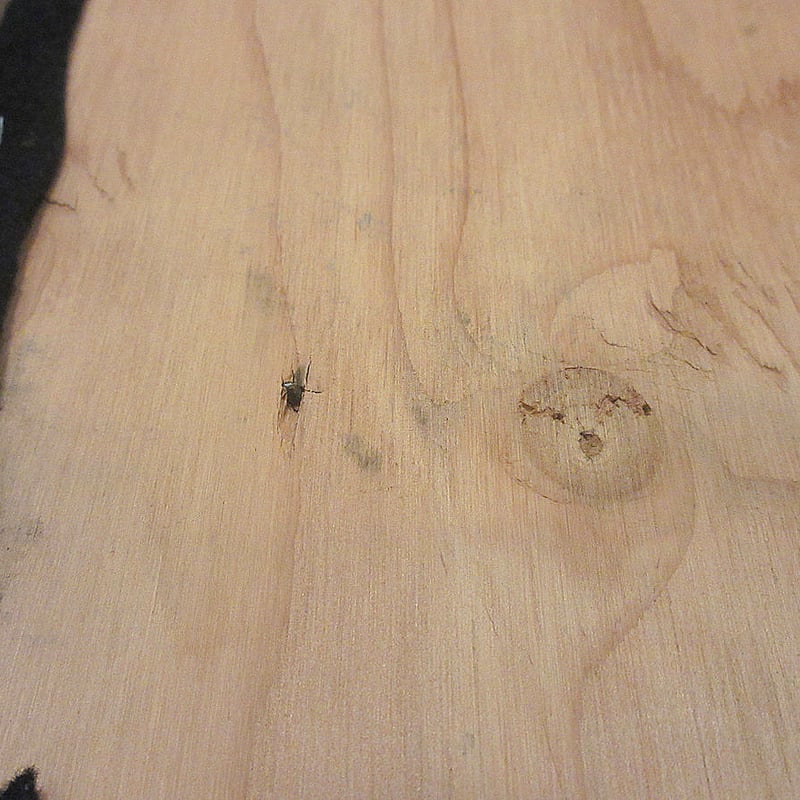 ビヨンヴィンブラッド　イヤープレート　1979-80年　ヴィンテージ　壁掛け Bjorn Wiinblad(ビョルン・ヴィンブラッド)