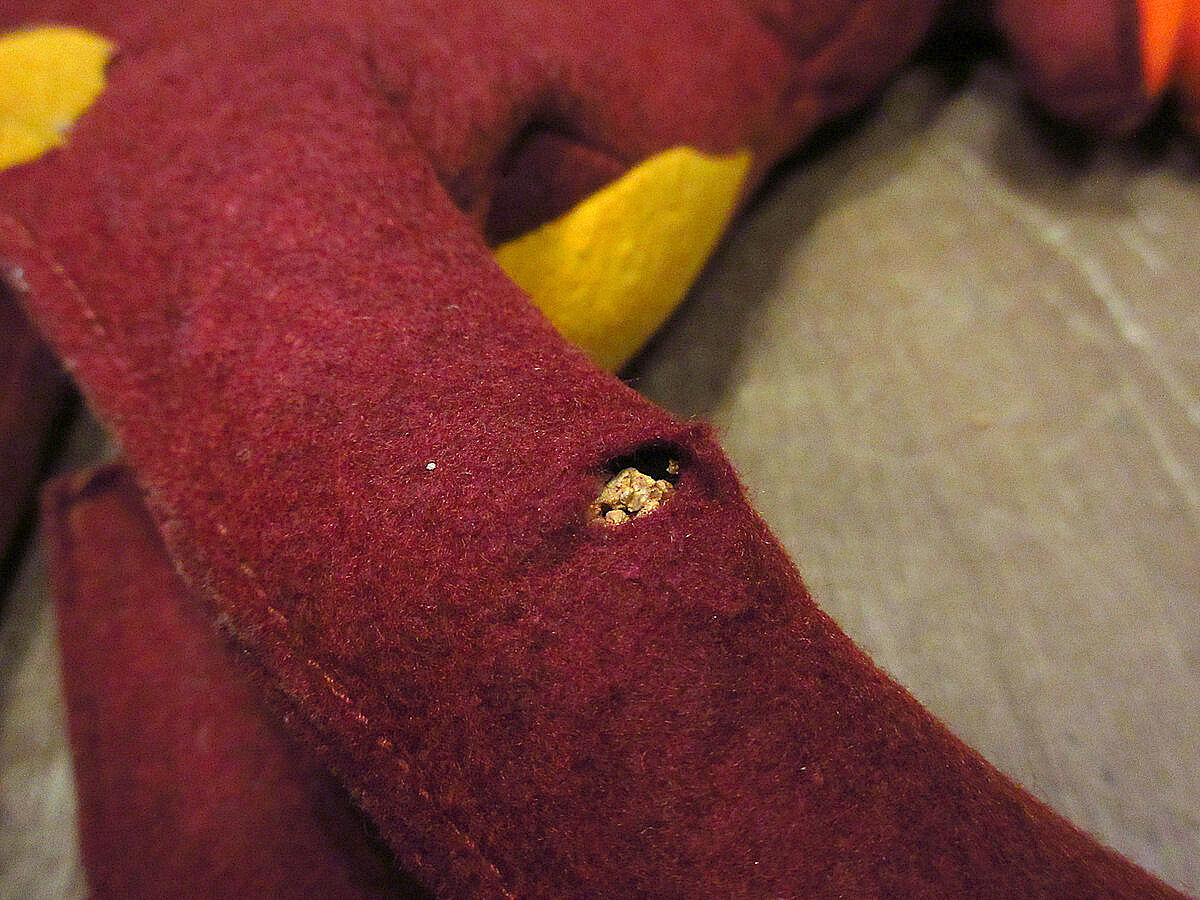 ビンテージ-60's○SCカレッジマスコットドール○220912k5-doll1950s196