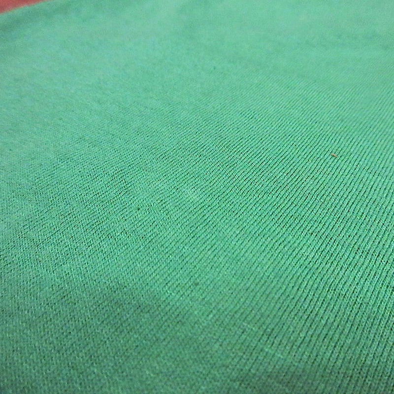 ビンテージ2000's○Zebrahead Ear QuencherプリントTシャツ緑○260