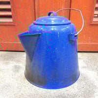 ビンテージ70's○ピーターマックストレイ○230529i10-bxsバタフライ