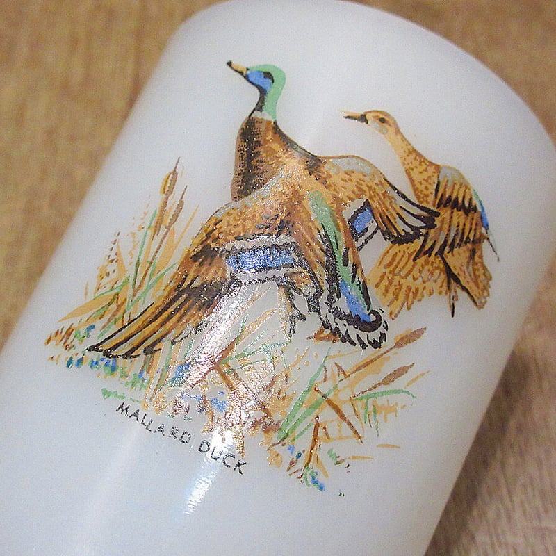 レア柄　ファイヤーキング　Cockatoo レア柄 ファイヤーキング Cockatoo ジェダイより激レア！ ターコイズ色