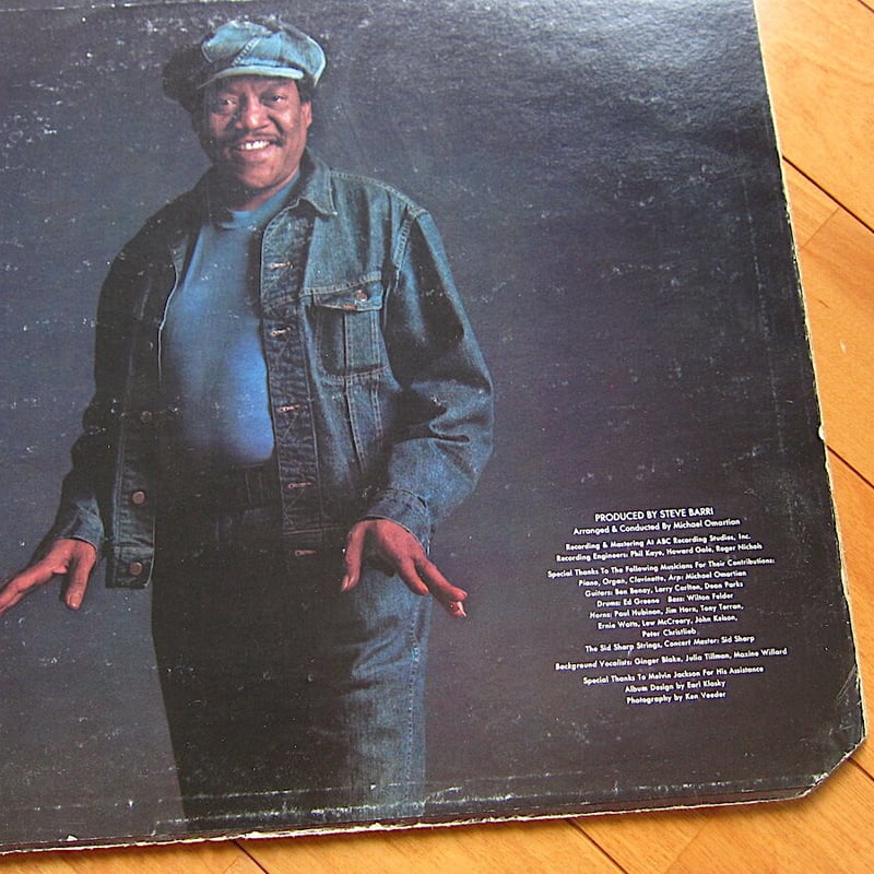 Bobby Bland○Dreamer ABC/DUNHILL RECORDS DSX-501