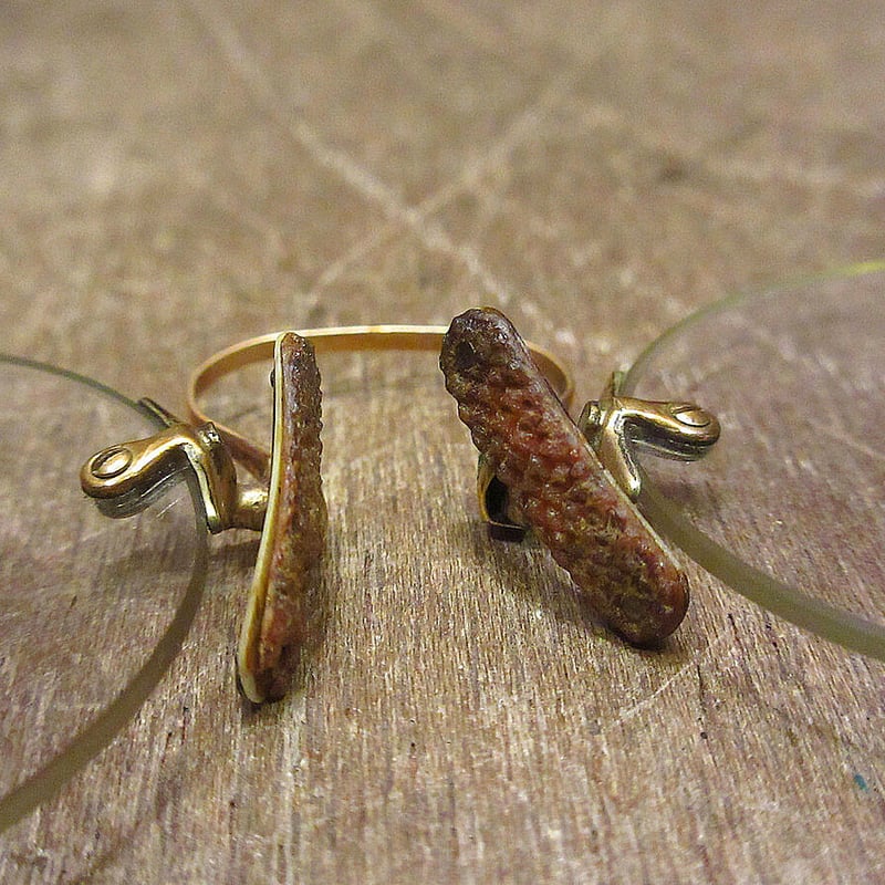 ビンテージ~40's○ケース付きCブリッジ型フィンチ眼鏡○230515i6-eygls