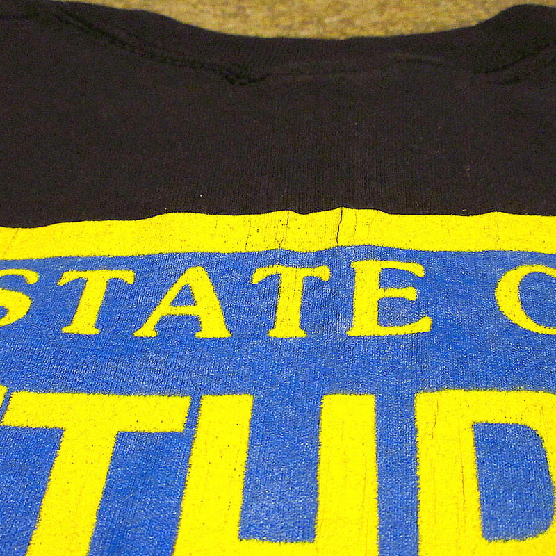 ビンテージ80's○ANTHRAX STATE OF EUPHORIAツアーTシャツ黒size